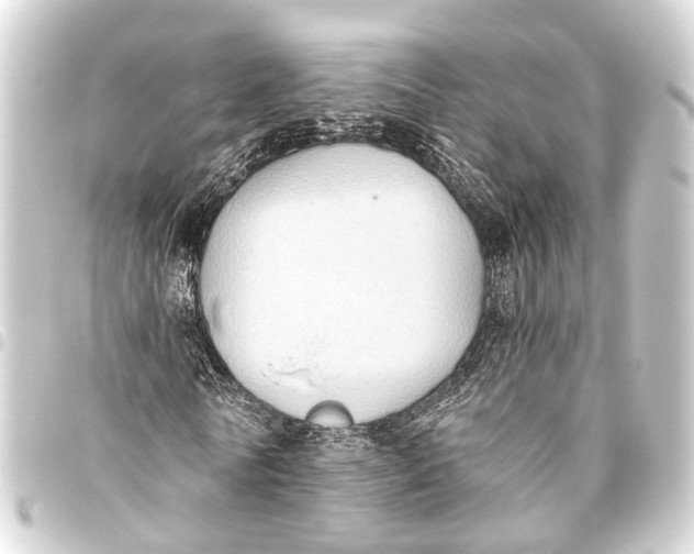 X0000093450770200711021113