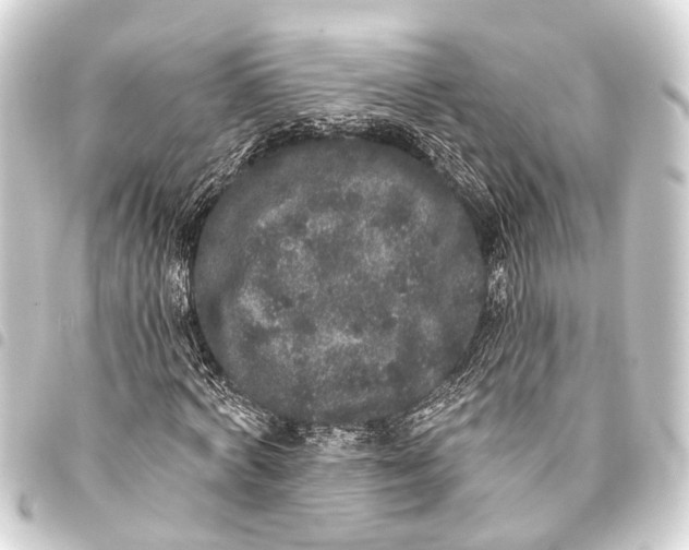 X0000093450772200711021113