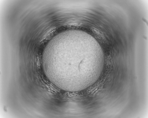 X0000093450774200711021113