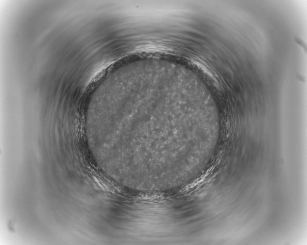 X0000093450775200711021113