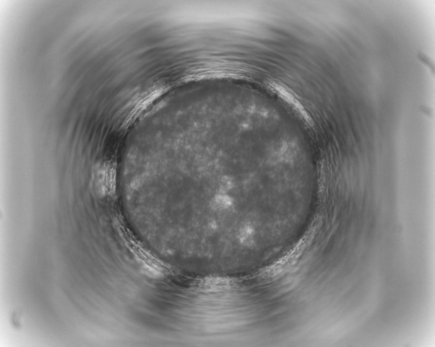 X0000093450777200711021113