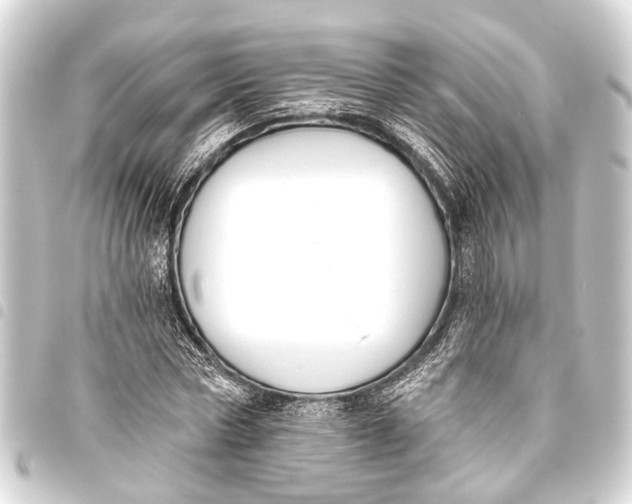 X0000093450778200711021113