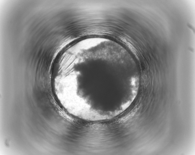 X0000093450779200711021113