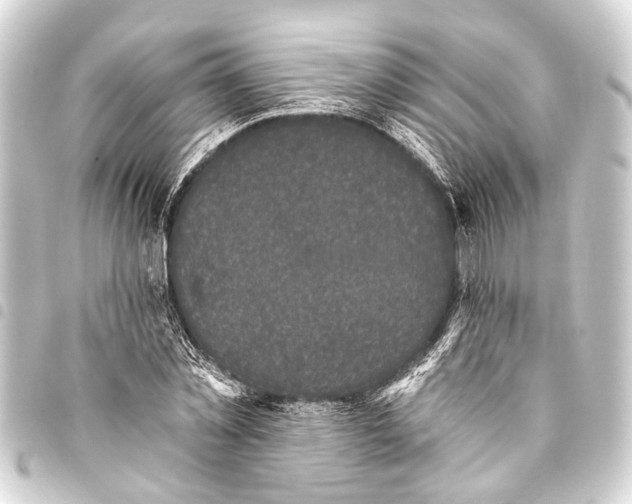 X0000093450781200711021113