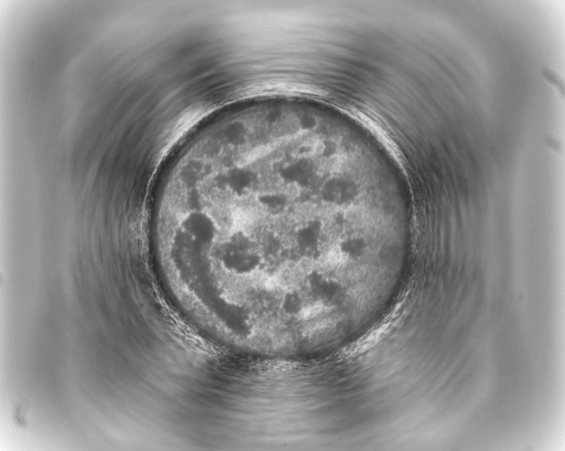 X0000093450783200711021113