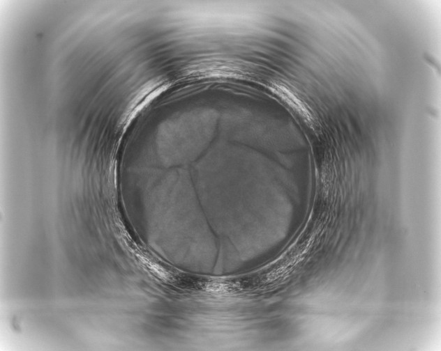 X0000093450790200711021113