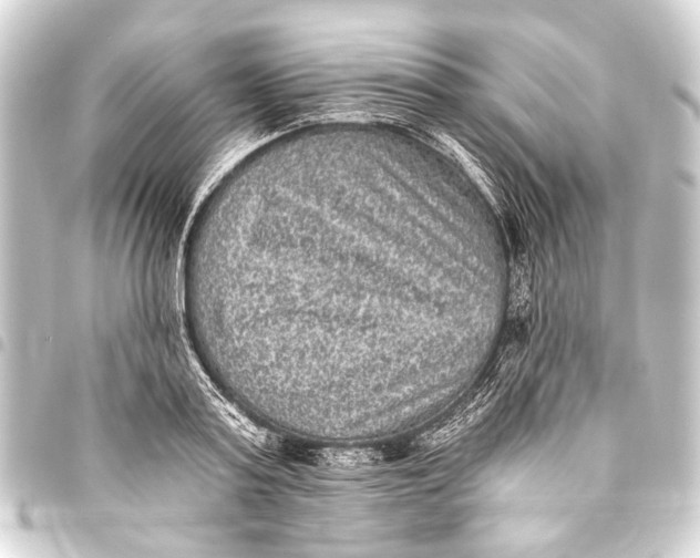 X0000093450795200711021113