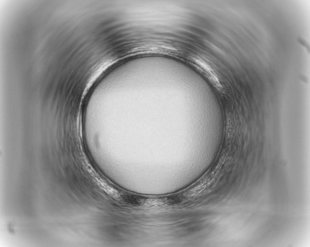 X0000093450796200711021113