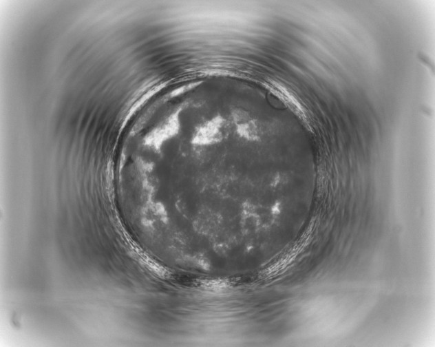 X0000093450798200711021113