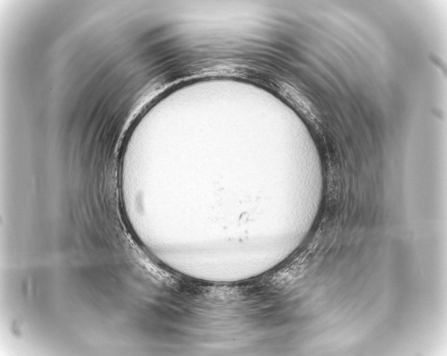 X0000093450800200711021113