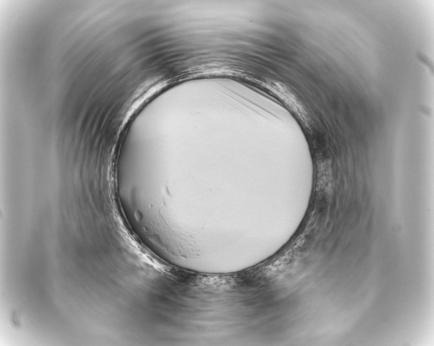 X0000093450806200711021113