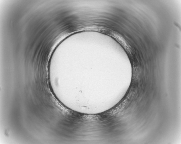 X0000093450808200711021113