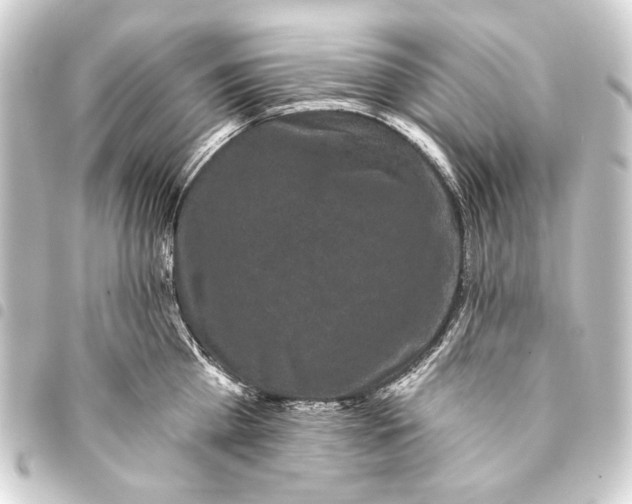 X0000093450809200711021113