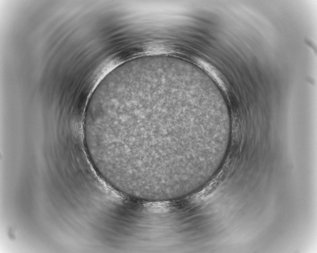 X0000093450810200711021113