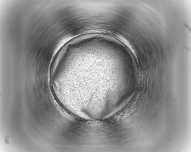 X0000093450811200711021113