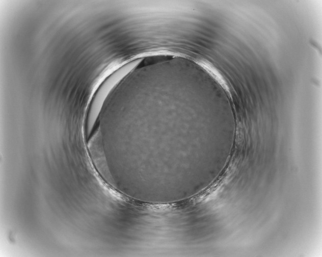 X0000093450813200711021113