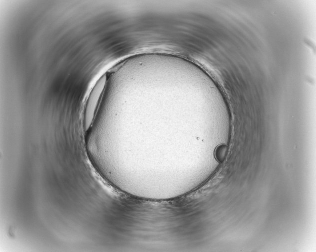 X0000093450816200711021113