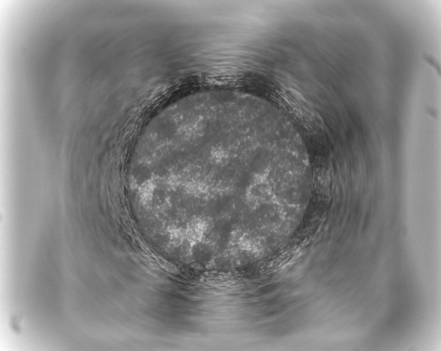 X0000093450817200711021112