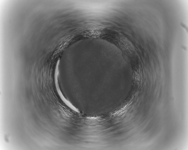 X0000093450818200711021112