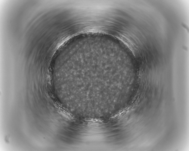 X0000093450823200711021112