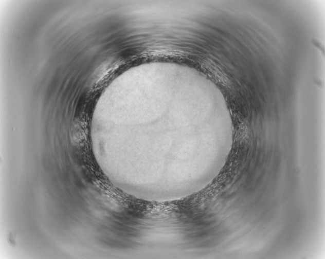 X0000093450824200711021112