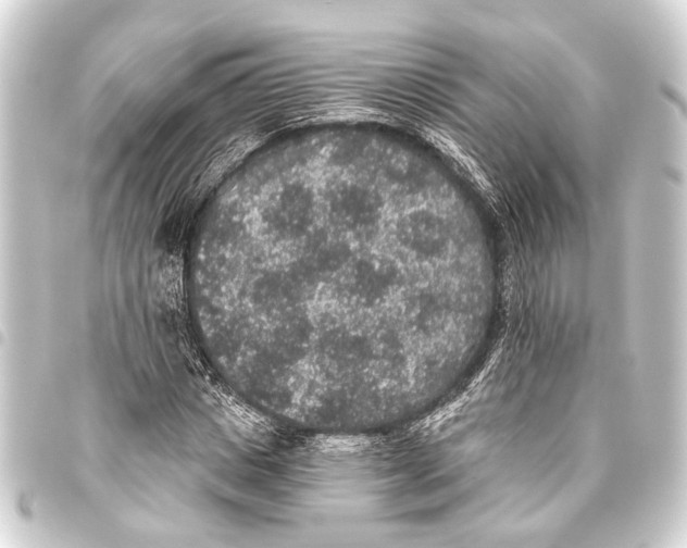 X0000093450825200711021112