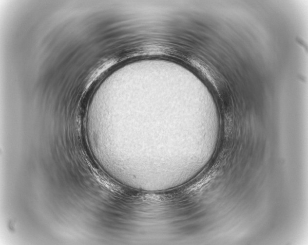 X0000093450827200711021112