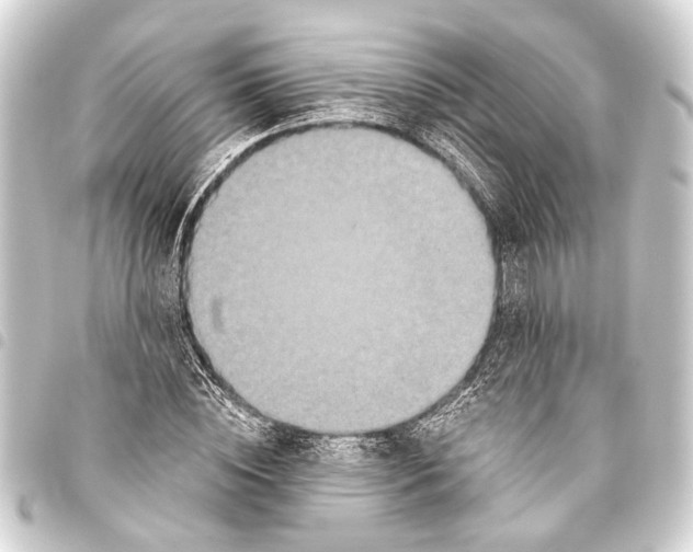 X0000093450828200711021112