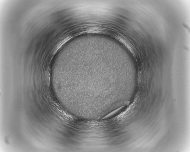 X0000093450829200711021112