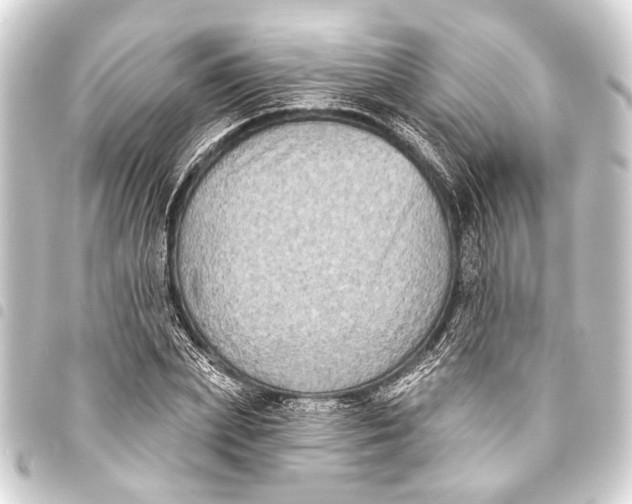 X0000093450831200711021112