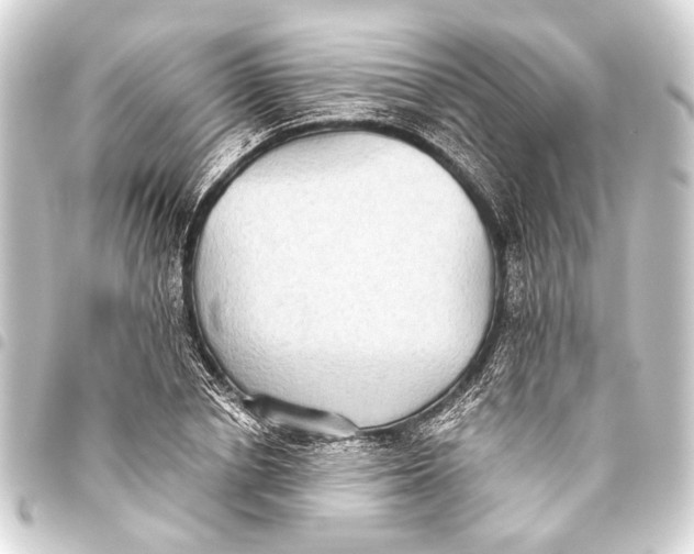 X0000093450834200711021112