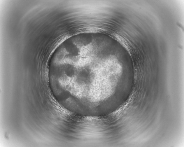 X0000093450835200711021112