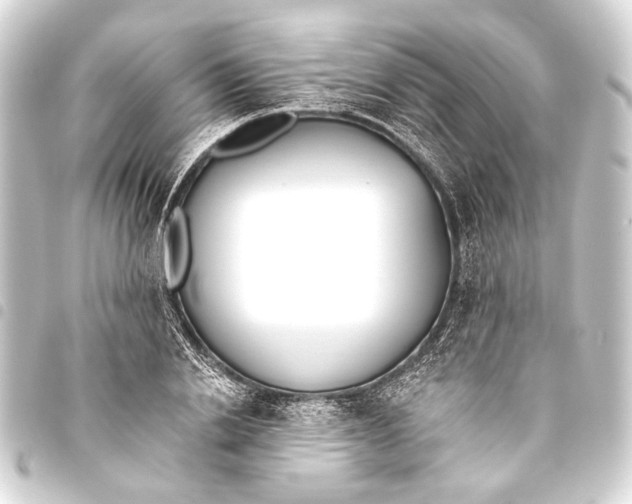 X0000093450838200711021112