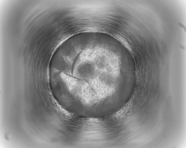 X0000093450839200711021112