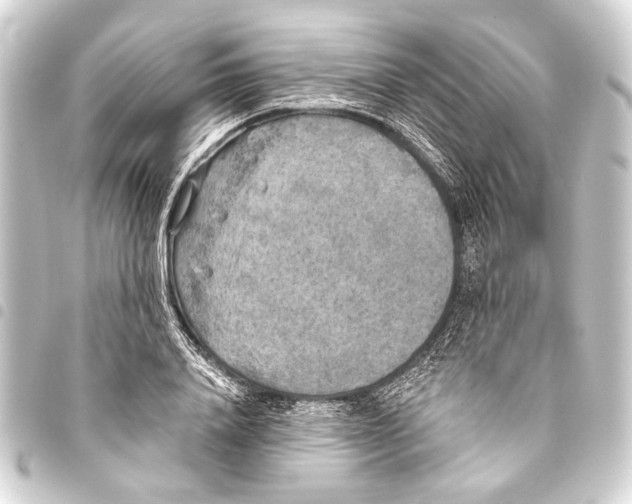 X0000093450840200711021112