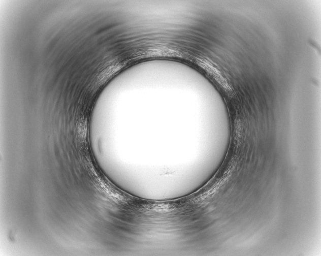 X0000093450841200711021112