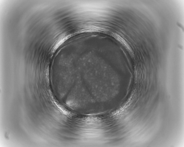 X0000093450842200711021112