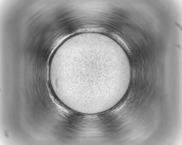 X0000093450844200711021112