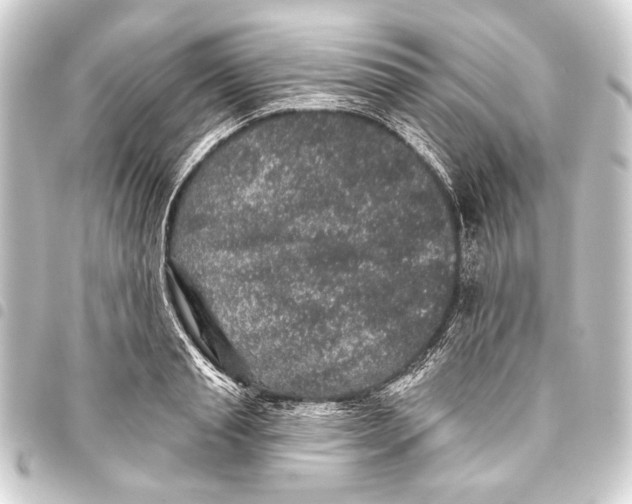 X0000093450845200711021112