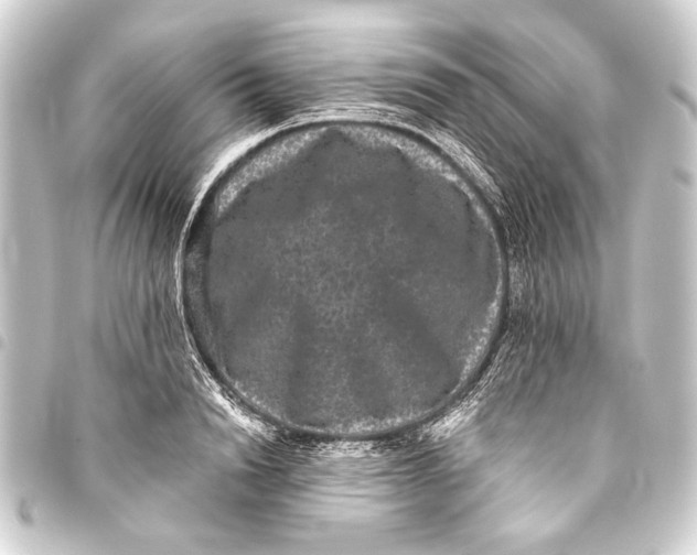 X0000093450846200711021112