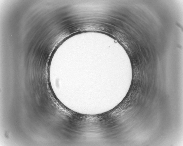 X0000093450848200711021112