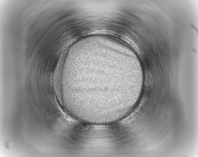 X0000093450849200711021112