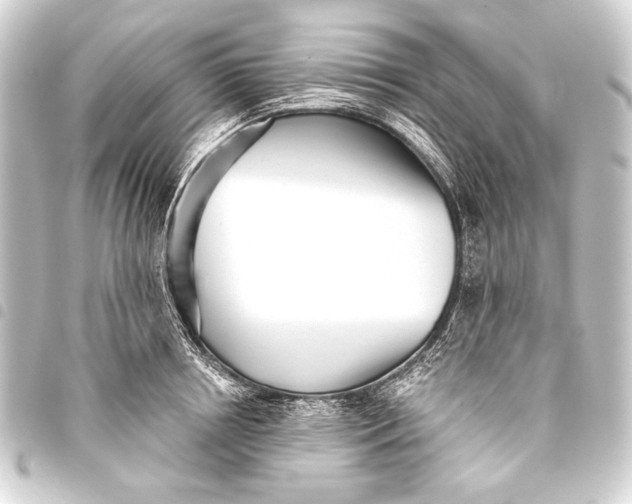 X0000093450850200711021112