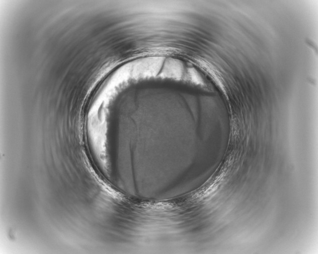 X0000093450851200711021112