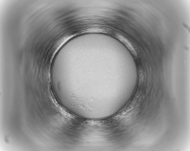 X0000093450852200711021112