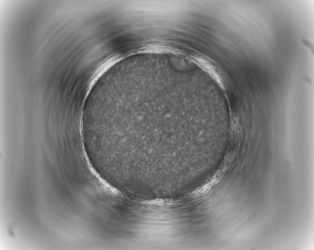 X0000093450855200711021112