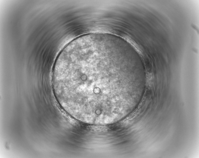 X0000093450856200711021112