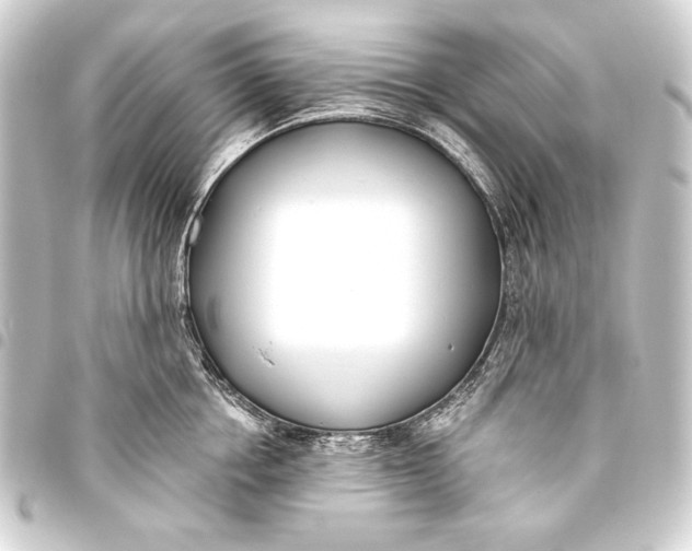 X0000093450858200711021113