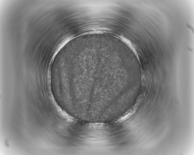 X0000093450859200711021113