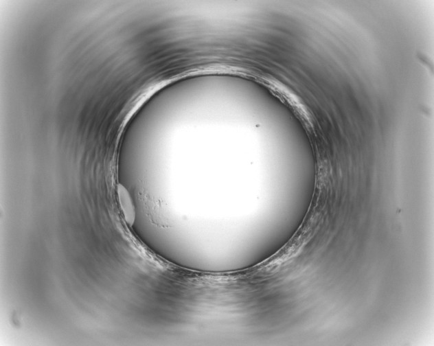 X0000093450860200711021113